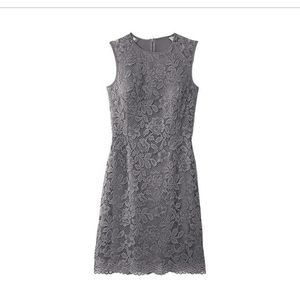 Metallic Lace Dress ..New